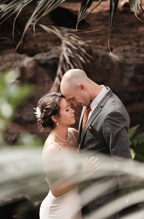 audrey and nick wedding edmonton