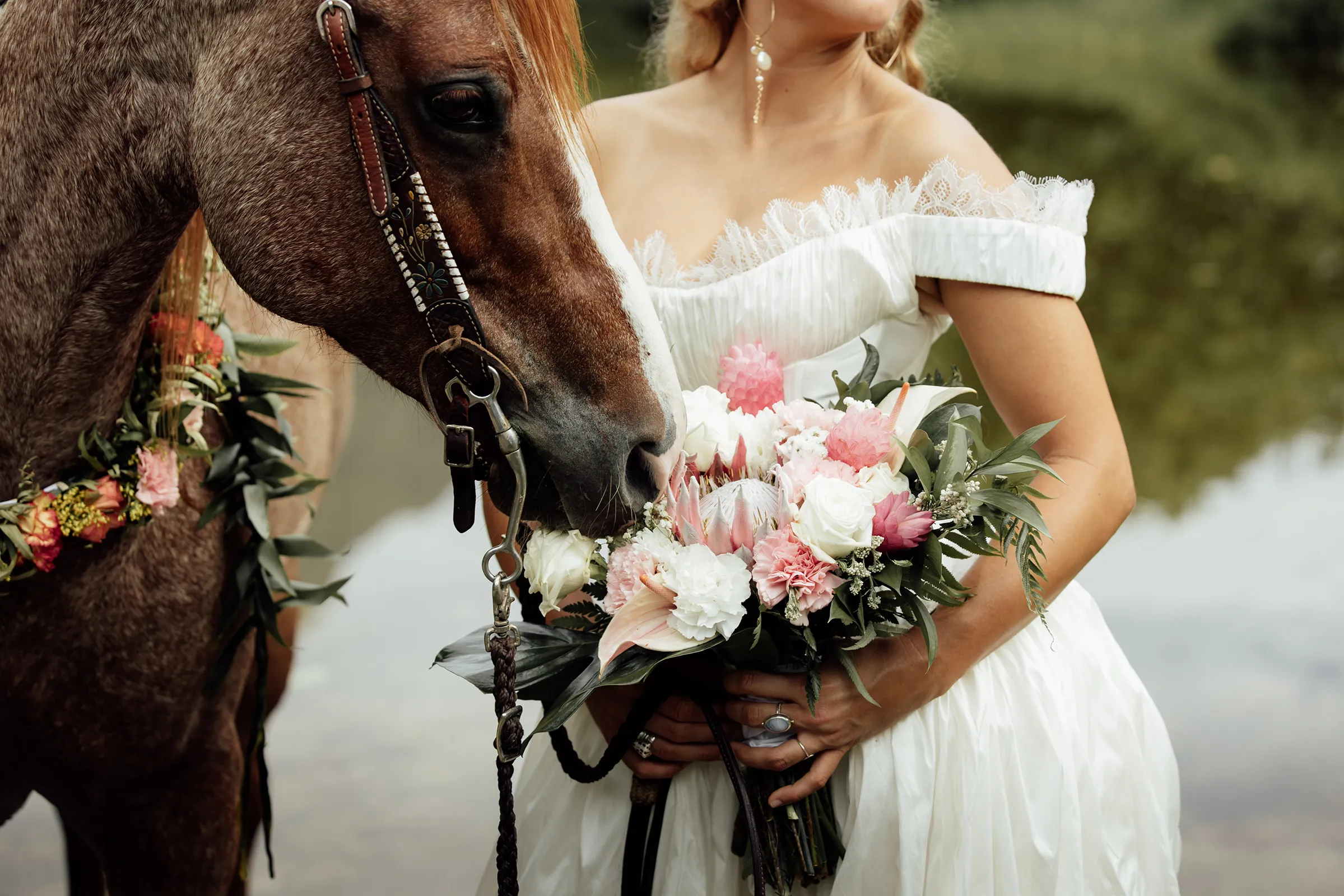 Wedding bride with a Horse